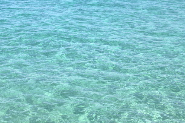 istock natural background with perfectly clear sea water 1156437660