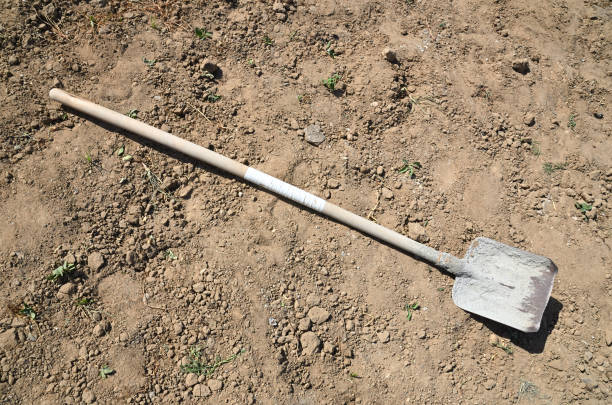 istock Shovel, belonging for household and construction work.Scoop 1156438802