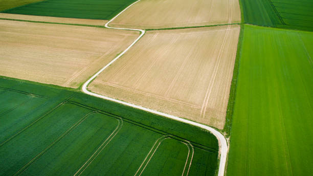 istock Winding road through agricultural area 1156440097