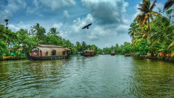 Backwaters of Alleppey,Kerala Glimpse of the God's Own Country, Kerala. Backwaters of Kerala can be seen along with house boats. houseboat photos stock pictures, royalty-free photos & images