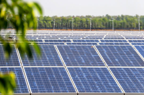 istock Eco power, Photovoltaic, Alternative electricity source, Solar panel generating electricity clean energy with natural background 1156447706
