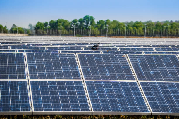 istock Eco power, Photovoltaic, Alternative electricity source, Solar panel generating electricity clean energy on blue sky background 1156447732
