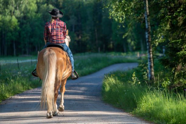 istock Cowgirl horseback riding 1156447904