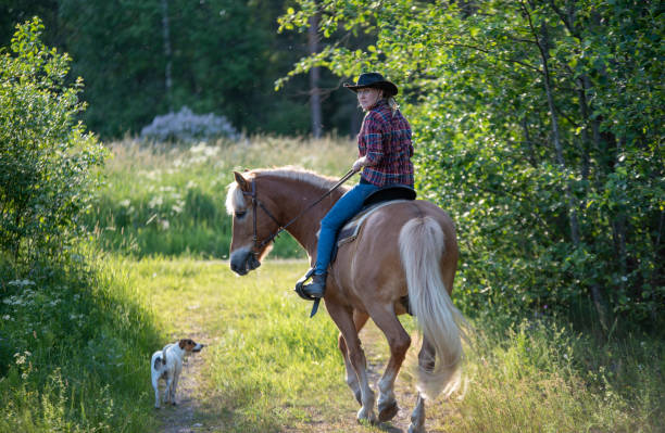 istock Cowgirl horseback riding 1156447905