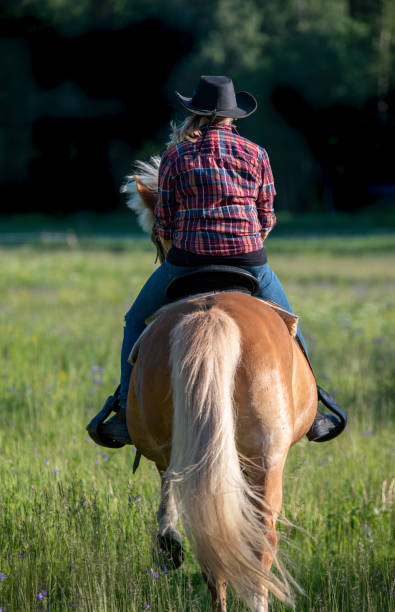 istock Cowgirl horseback riding 1156447918