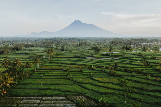 vista aérea panorámica del volcán merapi en java - java fotografías e imágenes de stock