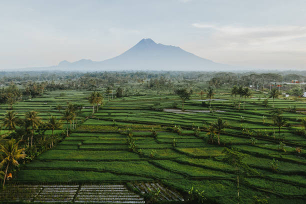 Scenic aerial view of Merapi volcano on Java Scenic aerial view of Merapi volcano on Java, Indonesia java stock pictures, royalty-free photos & images