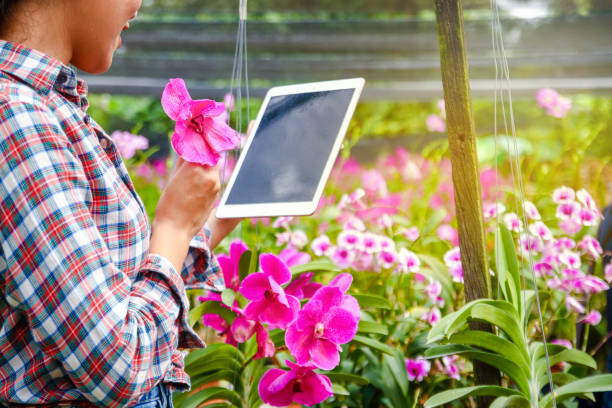 istock Female farmers holding a tablet 1156449260
