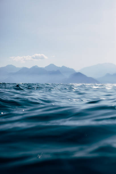 Surface of sea in summer