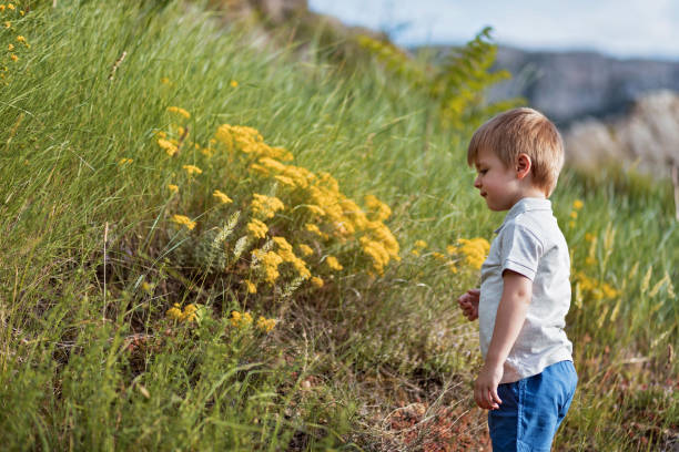 Little boy in green meadow lookin at flowers