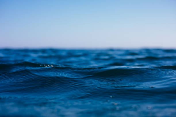 istock Surface of sea in summer 1156452006