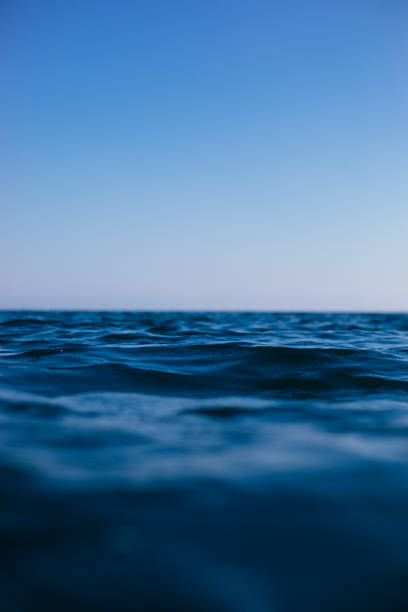 istock Surface of sea in summer 1156452057