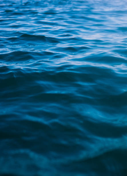 istock Surface of sea in summer 1156452064