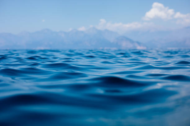 Surface of sea in summer