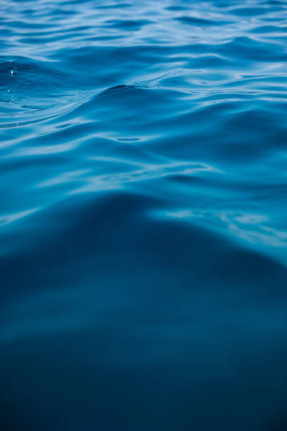 istock Surface of sea in summer 1156452182