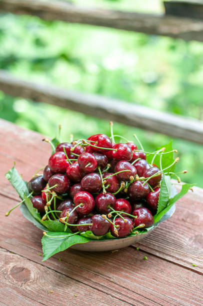 istock Fresh sweet cherries in plate 1156452233