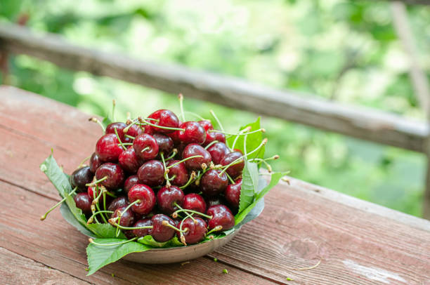 istock Fresh sweet cherries in plate 1156452382