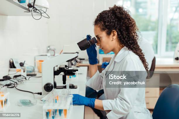 Smart Young Woman Sitting In Front Of The Microscope Stock Photo - Download Image Now