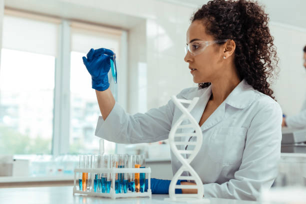 Nice young woman looking at the blue liquid Scientific study. Nice young woman holding a test tube while looking at the blue liquid in it genomics stock pictures, royalty-free photos & images