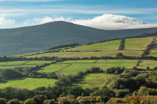 istock A Pattern of Green Fields in County Wicklow, Ireland 1156456914