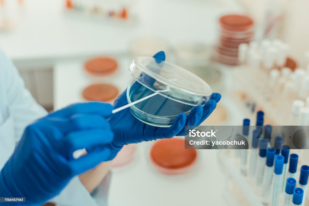 Enfoque selectivo de un plato de petri transparente - Foto de stock de Laboratorio médico libre de derechos