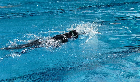 A triathlete in a wetsuit during swimming training