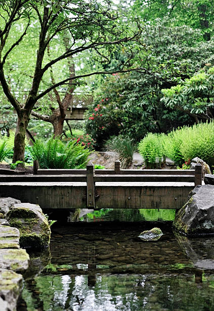 istock pond with walking path bridge landscaped garden grounds 115645848