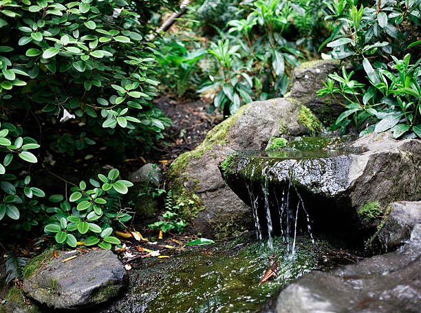 istock Gentle stream and waterfall features with stones plants moss 115645852