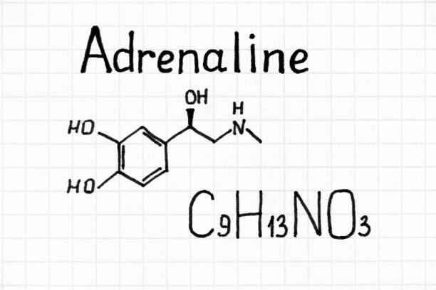 istock Handwriting Chemical formula of Adrenaline. 1156461700