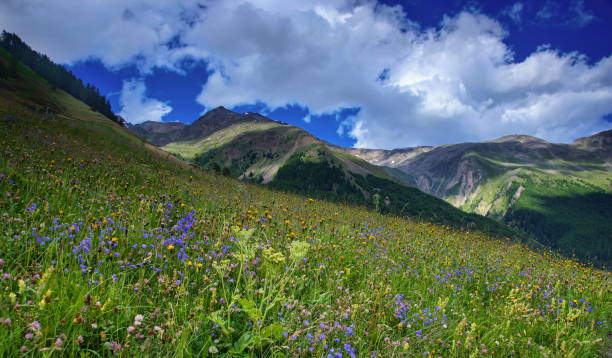 istock Lake Vernagt 1156463987