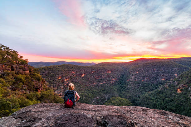 istock Woman admiring views in Wollemi wilderness 1156467436