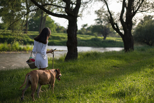 Young girl walks with her dog by the river