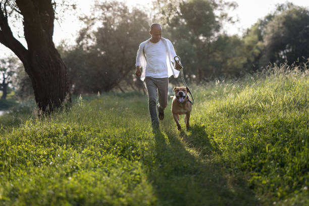 istock Man running with his dog at sunset 1156467587