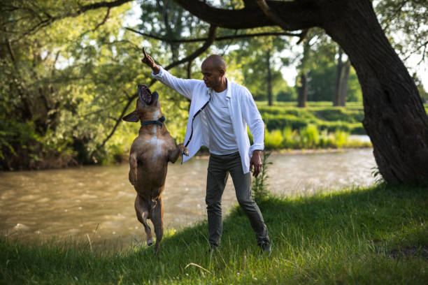Man have fun with his dog by the river