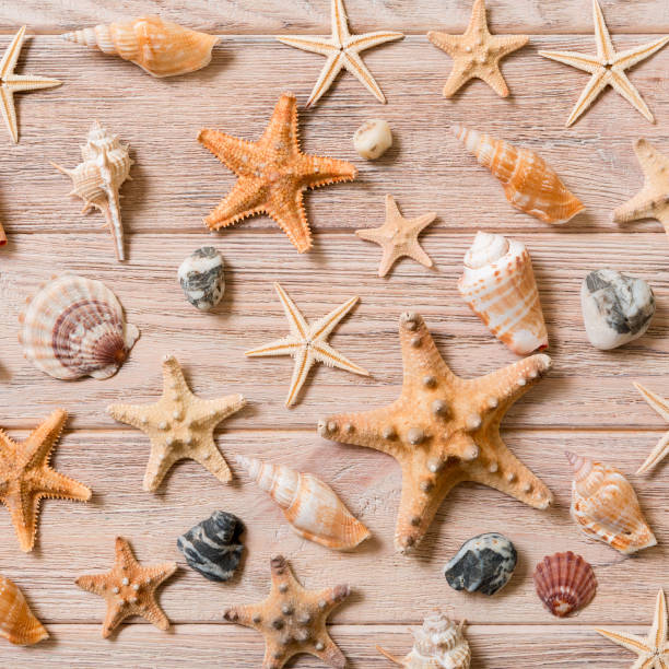 istock Starfish and seashells background on a wooden table, top view, flat lay 1156468378