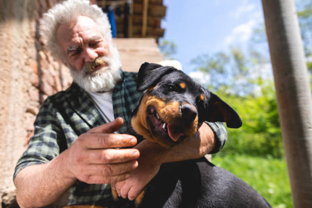 istock I don't know what I'd do without my dog 1156470722
