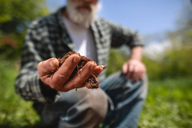 istock Farmer checks the soil 1156470794