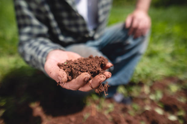 istock Fertile soil in farmers hands 1156470876