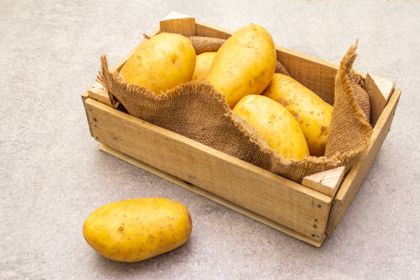 istock Raw unpeeled young potatoes 1156472038