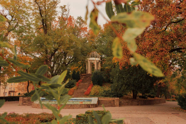 istock Autumn in the park 1156474880