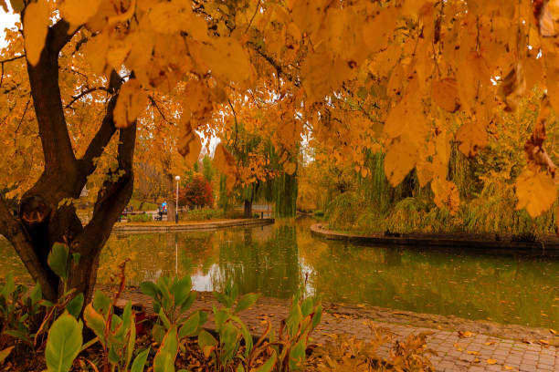 A warm autumn day in the park of city Krasnodar
