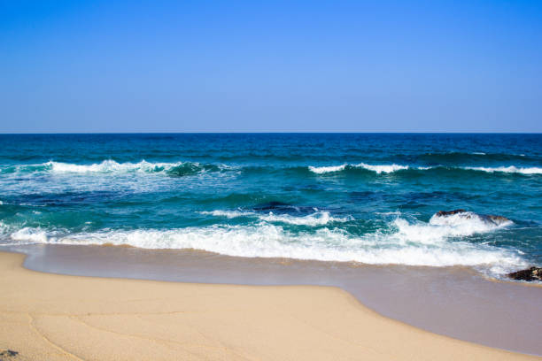 istock surf from the sea 1156476663