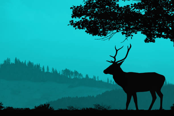 istock blue landscape with a silhouette of a deer 1156477421
