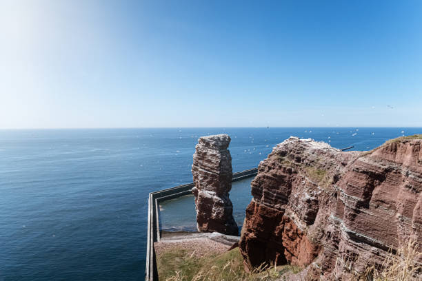 sea stack Lange Anna on Heligoland island, Germany surrounded by flying birds
