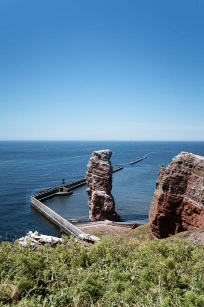 istock sea stack Lange Anna on Heligoland island, Germany surrounded by flying birds 1156479247