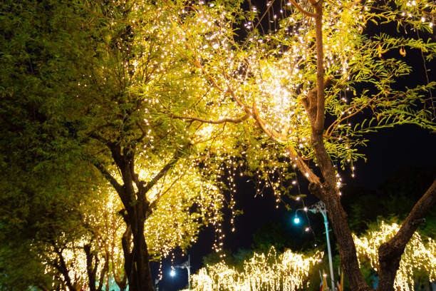 istock Decorative outdoor string lights hanging on tree in the garden at night time 1156479755