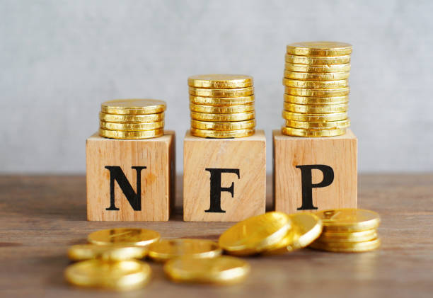 Nfp Example 40+ Nfp Stock Photos, Pictures & Royalty-Free Images - iStock