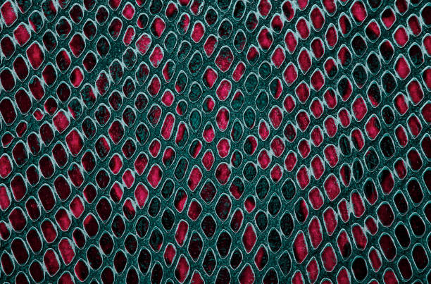 istock Colorful snake skin texture. Seamless pattern. Abstract background. 1156481041