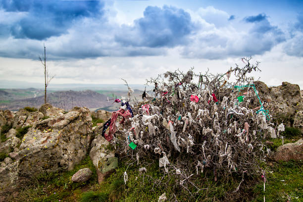 istock The Wish tree in Anatolia,Turkey 1156481322