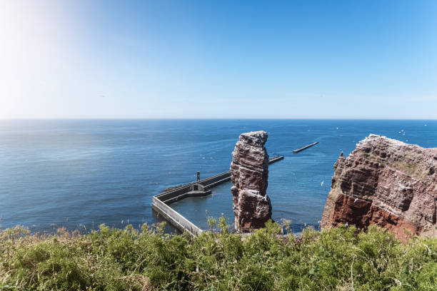 sea stack Lange Anna on Heligoland island, Germany surrounded by flying birds